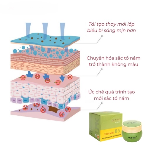 OLY HT Luxury Vitamin B5 Kem Nám Tàn Nhang Đồi Mồi 15g OLY HT Luxury Vitamin B5 Kem Nám Tàn Nhang Đồi Mồi 15g